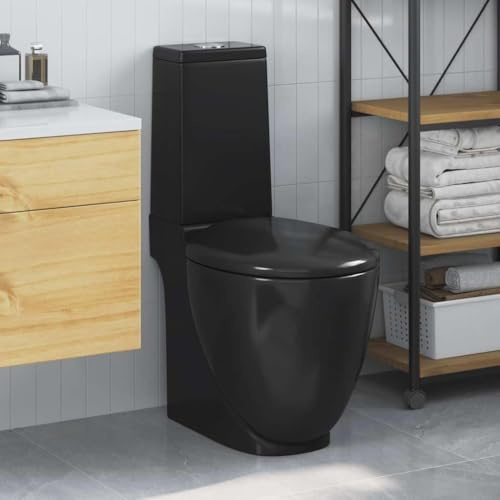 Refined Inodoro Cuadrado Cerámica de Calidad Baño Tapa Asiento y Cisterna (Negro)