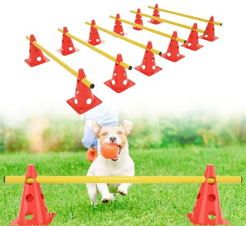 Suusolny Sports Lot de 6 obstacles d'agilité réglables en hauteur pour enfants et chiens Avec 12 cônes + 6 barres