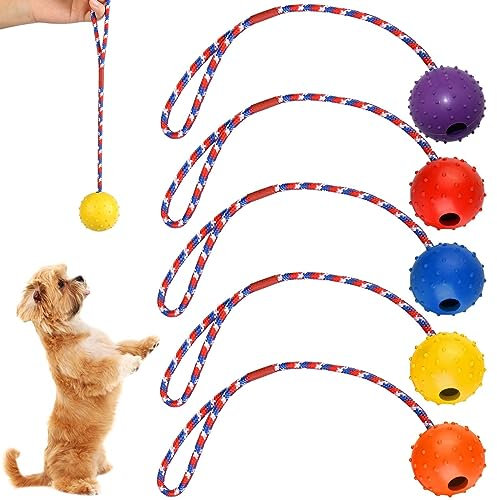 Vaileal 5 Stück Wurfball Hund Hundespielzeug: Hundeball mit Schnur, Naturkautschuk Wurfball, Wurfball mit Seil, Weich und Elastisch, Wurfball mit Seil für Große & Kleine Hunde Weite Würfe Fangen