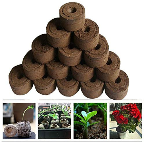 DingLong Home Pastille de Tourbe Compressée Tourbe Granulés Bouchons, granulés de Sol de Tourbe pour la Culture de Plantes de Jardinage, de Plantes de Multiplication et de Germination (10 Pack)