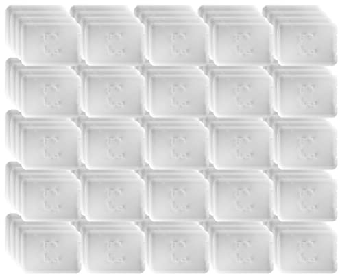 Everything But Stromboli 1-Slot MicroSD Plastic Jewel Case for MicroSD Card Only (100 Pack Bulk) Works with SanDisk, Kingston, Transcend, Samsung Micro SD Cards