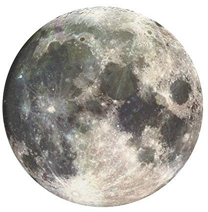 PopSockets 800454 PopGrip - Expanding Stand and Grip with Swappable Top - Moon