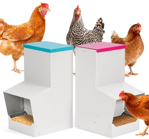 BREUAILY Mangiatoia automatica per pollo, 10 l, distributore automatico per pollame e ostriche, in metallo, per animali domestici, 2 mangiatoie per pollame, anatra oca