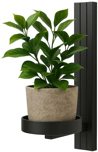FRAMADO – Étagère Murale pour Plantes – Support Suspendu pour Fleurs – en Métal – Décoration Murale Moderne pour Salon, Chambre d’Ado, Cuisine – 12x15x24cm – PIANTA DRITTO Noir