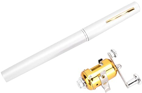 Lwuey Mini Canna da Pesca,Combo Pesca Mulinello Forma Penna Kit Portatile Telescopico Fishing Rod Reel Set Leggero Acqua Dolce Fiume Campeggio Mare Lago Serbatoio Salata Spiaggia Viaggi Regali Uomo