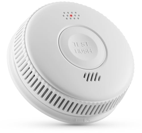 Détecteur de Fumée WLAN avec App - Détecteur de Monoxyde de Carbone Intelligent avec Alarme 85dB, Fonction Silence, Piles Interchangeables, Protection Contre Les Insectes, 2,4 GHz WiFi