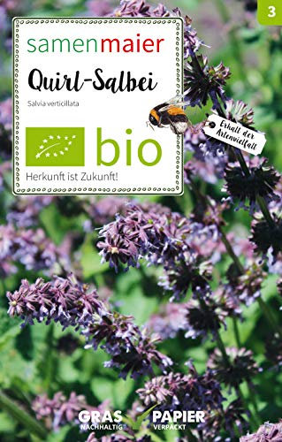 BIO Wildblumen - Quirl-Salbei Samen - Violette Blüten, Ausdauernd, 30-60 cm Höhe, Aussaat März/April, Inhalt reicht für ca. 15 Pflanzen - Samen Maier