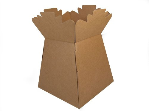 Hand-Tied Vase Florist Bouquet Boxes | Aqua Presentation & Transporter Boxes | Pack of 30 | Durable Flower & Plant Packaging |Natural Kraft