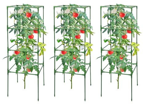 Celuicion Jaula para tomates | Soporte para plantas | Estructura de escalada resistente 3 piezas para peonías flores pepinos frijoles rosas frutas jardín parterres exterior
