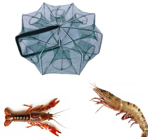 Armastuse Trampa de Pescado, Trampa para Peces de Cangrejo de Nailon, Red de Pesca Plegable Portátil, Jaula de Camarones 6 Agujeros Trampas Peces