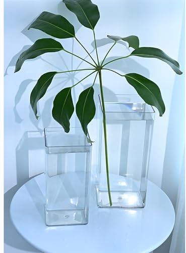 Modern Simplicity, 2pcs Set Shatterproof Flower Vases, Plastic Vase - Clear | Vase for fresh artificial flowers hydroponic plants living room, perfect for home with children or pets - 20cm 25cm tall