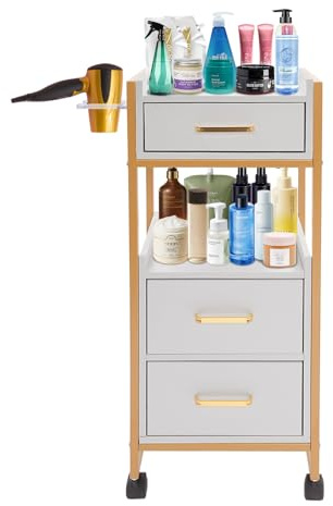 PINYELIN Chariot de coiffeur - Armoire à outils - Chariot de rangement - Chariot de service - Chariot de rangement moderne