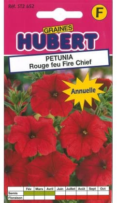 Graines de Pétunia Nain Rouge Fire Chief - 0,2 grammes
