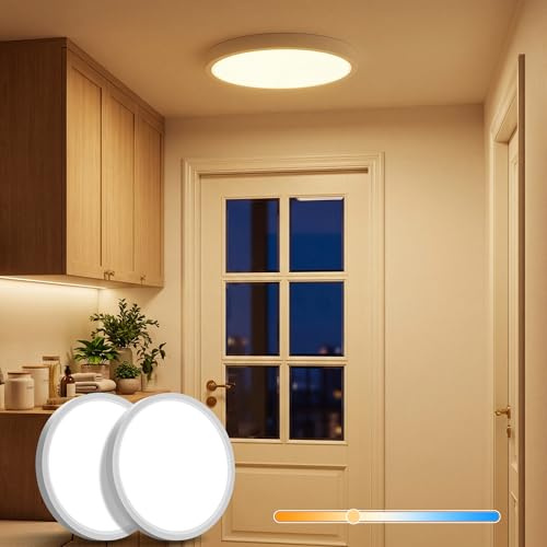 LuminexDesigns 2ER LED Plafoniera Piccola 22cm – 18W Lampada da Soffitto con Temperatura Regolabile 2700K-6500K tramite Interruttore DIP, Rotonda, Stagna IP44 per Corridoio, Ingresso, Bagno