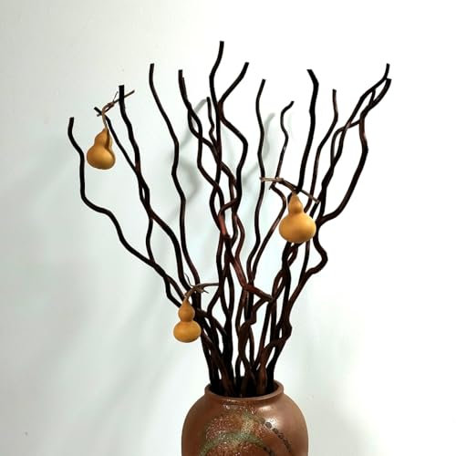 14-15 rami di salice secchi e ricci, 53-58 cm, per piante essiccate naturali, rami decorativi per fai da te, vasi, decorazioni per la casa, marrone