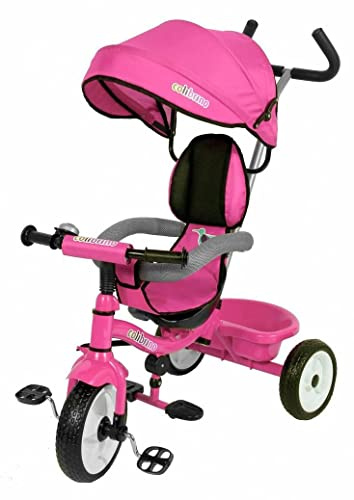 Colibrì Triciclo Bambini 1 anno Passeggino Fronte Mamma e Strada Leggero | Treciclo Regolabile Bimbo Bimba 9 mesi Colibrino Rosa