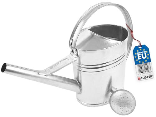 BAUSTER® Arrosoir en zinc galvanisé de 12 l pour l'intérieur et l'extérieur - Arrosoir ovale en métal pour arroser les fleurs - Avec douchette d'arrosage - Arrosage du jardin