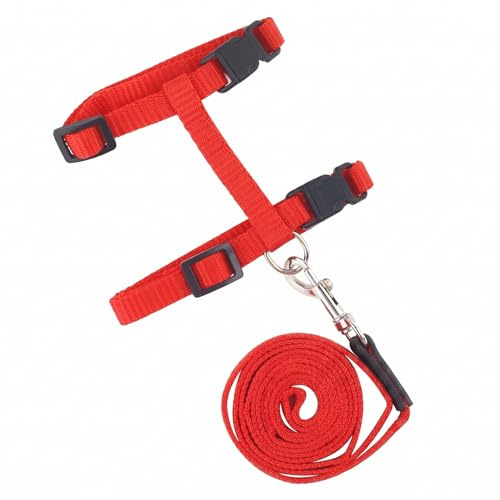 Harnais Doux pour Chat,Harnais Chat Réglable avec Boucle de sécurité,Confortable,Élégant,Anti - Fuite,pour Chiot Chaton des Petits Animaux de Compagnie(Rouge)
