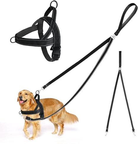 Hundegeschirr mit Leine, Anti-Zug Hundeleine und Geschirr, Keine Verwicklung Doppelleine, Verstellbares Reflektierend Brustgeschirr, zum Spaziergänge und Training für mittel große Hunde (L)