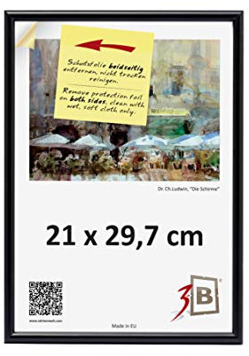 3-B Bilderrahmen FOTO - 21x29,7 cm (A4) - schwarz - Fotorahmen, Kunststoffrahmen mit Acrylglas.
