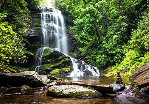 wandmotiv24 Fototapete Natur-wasserfall Bach Dschungel, L 300 x 210 cm - 6 Teile, Wanddeko, Wandbild, Wandtapete, Urwald, Dschungel, Tropen M1066