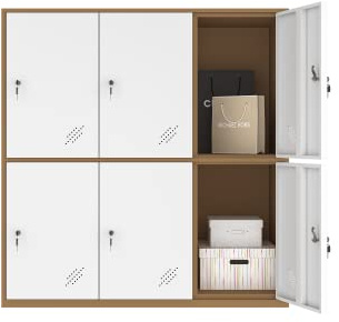 MECOLOR 4.6.9 Portes Armoire de Bureau en métal employés utilisant de Petits casiers Chambre Cube casier, Salon et casier Scolaire, casier à la Maison Armoire de Rangement pour Enfants (White,6D)
