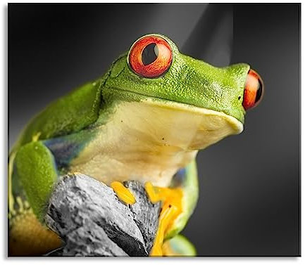 Pixxprint Belle plaque de recouvrement de cuisinière et protection anti-éclaboussures en verre véritable | Pour plaques de cuisson | 60 x 52 cm