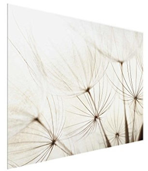 Bilderwelten Glasbild - Sanfte Gräser - Quer 3:4 - Blumenbild Glas, Größe: 60cm x 80cm