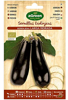 2 SOBRES DE SEMILLAS ECOLÓGICAS BERENJENA LARGA MORADA HA