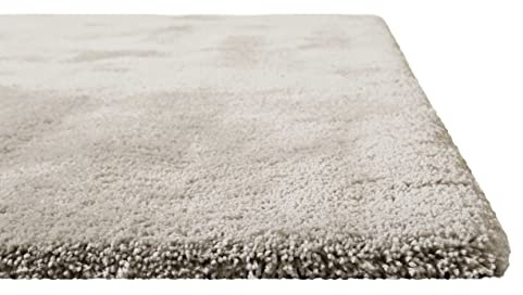 Homie Living I Hochflor Teppich Uni I Modern, weich, flauschig, kuschelig I Für Wohnzimmer Schlafzimmer I Pisa I (70 x 140 cm, Beige)