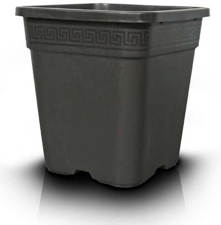 PASQUINI BINI Pot carré Décoré 28.5 x 28.5 x 28.5 cm 14L