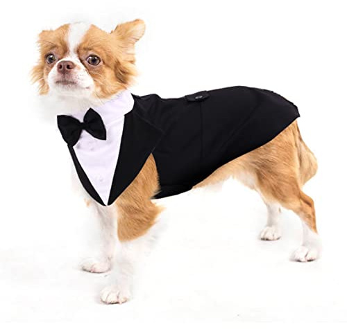 Hund bröllopskostym, smoking kostymer formella festkläder skjorta hundkläder Tuxedo hundfluga bröllop med avtagbar rosett bandana för små, medelstora och stora hundar (svart, S)