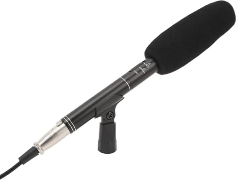 XLR Kondensatormikrofon, Professionell Cardioid Mini Kondensatorintervjumikrofon, Dubbla Pickup-lägen, för TV News Reporter Intervju, för DSLR-kamera