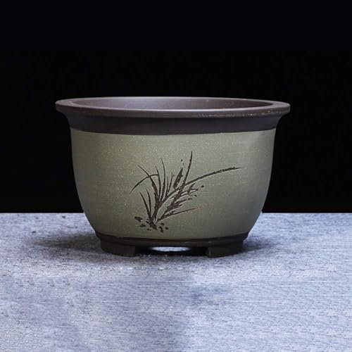 LWLYLCHBM Pot de fleurs violet en sable vert cactus orchidée pot classique pot de fleurs rond en céramique pot de fleurs succulentes pot de fleurs convient pour l'intérieur Longévité fleurs Cyclamen