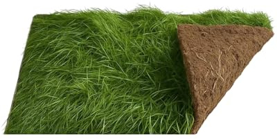 The Happy Hay Co. Mini-Meadow Real Grass Patch for Indoor Rabbits and Guinea Pigs - Living Turf 60x40cm - Natural Enrichment Play Area - UK Grown Fresh Grass