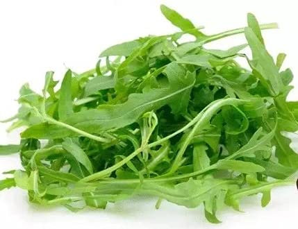 Rucola-Samen Vegetali Aromatici Giocoso Carino Rucola Mild All'aperto Pianta-100 Semi
