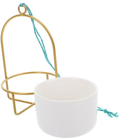 TINEASUR 1 Satz Wand Fleischiger Blumentopf Pflanzenregal Für Den Innenbereich Indoor-pflanzgefäße Hängende Töpfe Für Pflanzen Im Innenbereich Pflanzgefäß Zur Wandmontage Blumendekor Golden