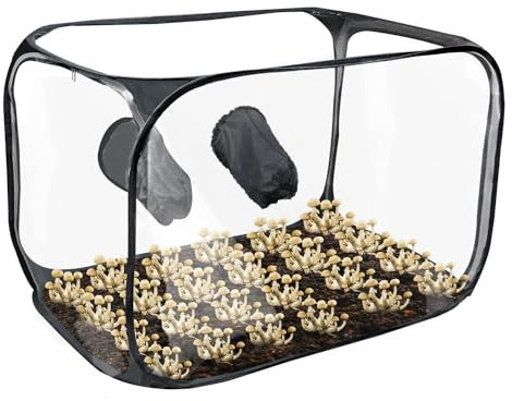 TAZZOR Stillluftbox für Pilze mit 2 Arm Ports 80 x 45 x 45 cm - Pilze züchten Set - Kompakte Standluftbox Pilzzucht - Pilzzuchtzelt Faltbare - Pilzzuchtset für Pilzliebhaber, Gartenbaubedarf