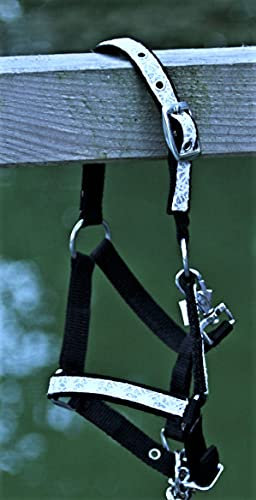 Halfter Fancy Funny Schwarz Weiß Minishetty Fohlen MMS Minipony Mini Shetty Glitzer Tysons (Shetty)