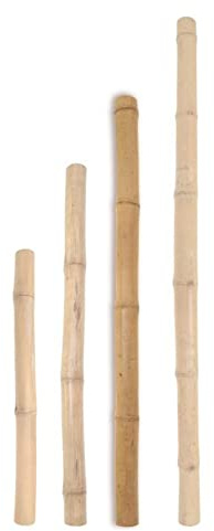 Mugar - Tutor de Bambú para Enderezar y Guiar Plantas y Enredaderas - Vara de Soporte - Varias Alturas (150)