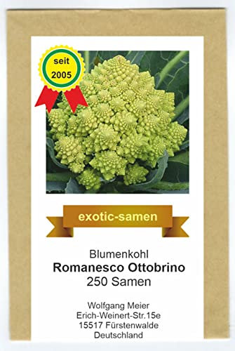Blumenkohl - Romanesco Ottobrino - samenfeste Sorte - ca. 250 Samen