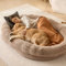 VEVOR Hundebett, 1825 x 1220 x 254 mm für Erwachsene und Haustiere, Hundebett in Menschengröße mit waschbarem Kunstkaninchenfell, orthopädischem Eierschaum, Aufbewahrungstasche, braun