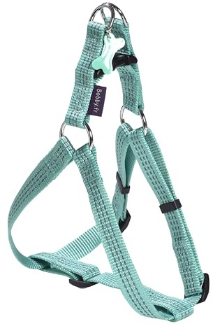 Bobby Safe Hundegeschirr für mittelgroße Hunde, reflektierend und strapazierfähig, Doppelring aus Metall, Türkis, Größe M/Brustumfang 44-62 cm
