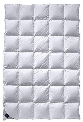 Billerbeck Daune Decke 308 Ambiente Mono, circa 155 x 220 cm (8501100004)