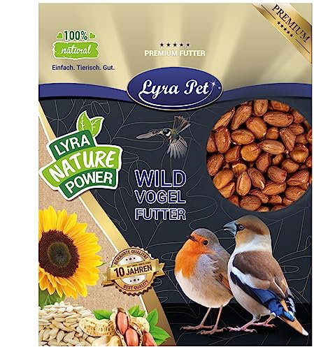 Lyra Pet® | 20 kg Erdnusskerne mit Haut | Wildvogelfutter Ganzjährig | Ballasttoffreiches Vogelfutter | Erdnüsse für Wildvögel | Energie durch Hohen Fettanteil | Ideal für Tauben & Größere Vögel