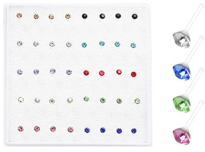 NyxSeat 20-teiliges buntes Nasenstecker-Set und 1 schwarze Aufbewahrungstasche, Nasenstecker aus Kunststoff, Schmetterlings-Nasenstecker, DIY-Ohrstecker-Set, Unisex, geeignet für Weihnachten