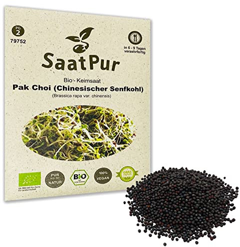 Pak Choi BIO Keimsprossen von SaatPur - Sprossen Keimsaat, Microgreen - 20g