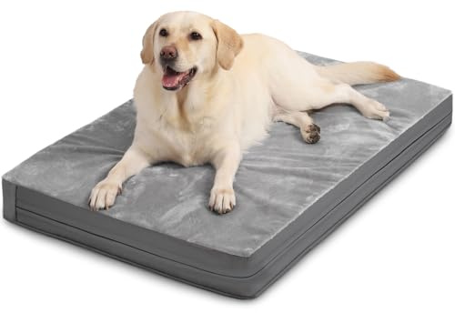 Waterproof XXL Dog Beds Large Sized Dog, Outdoor Washable Crate Pad 48 inch, Jumbo XXLarge Orthopedic Foam Pet Bed with Removable Cover Reversible, Durable Anti-Slip Kennel Pad, 47x29, Gray