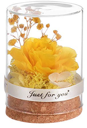 Kichvoe Rosa Eterna En Cúpula De Cristal para Siempre Decoración De Flores Rosa Amarilla para Mujeres para Navidad Día De San Valentín Aniversario Cumpleaños