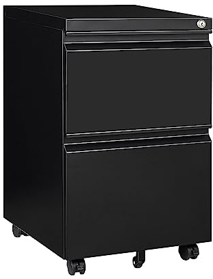 Panana 2/3 Drawer Mobile File Cabinet, Steel Lockable Office Cabinet with Wheels Under Desk Drawers on Casters for Home Office Furniture, Fully Assembled (Black, 2 Drawers)